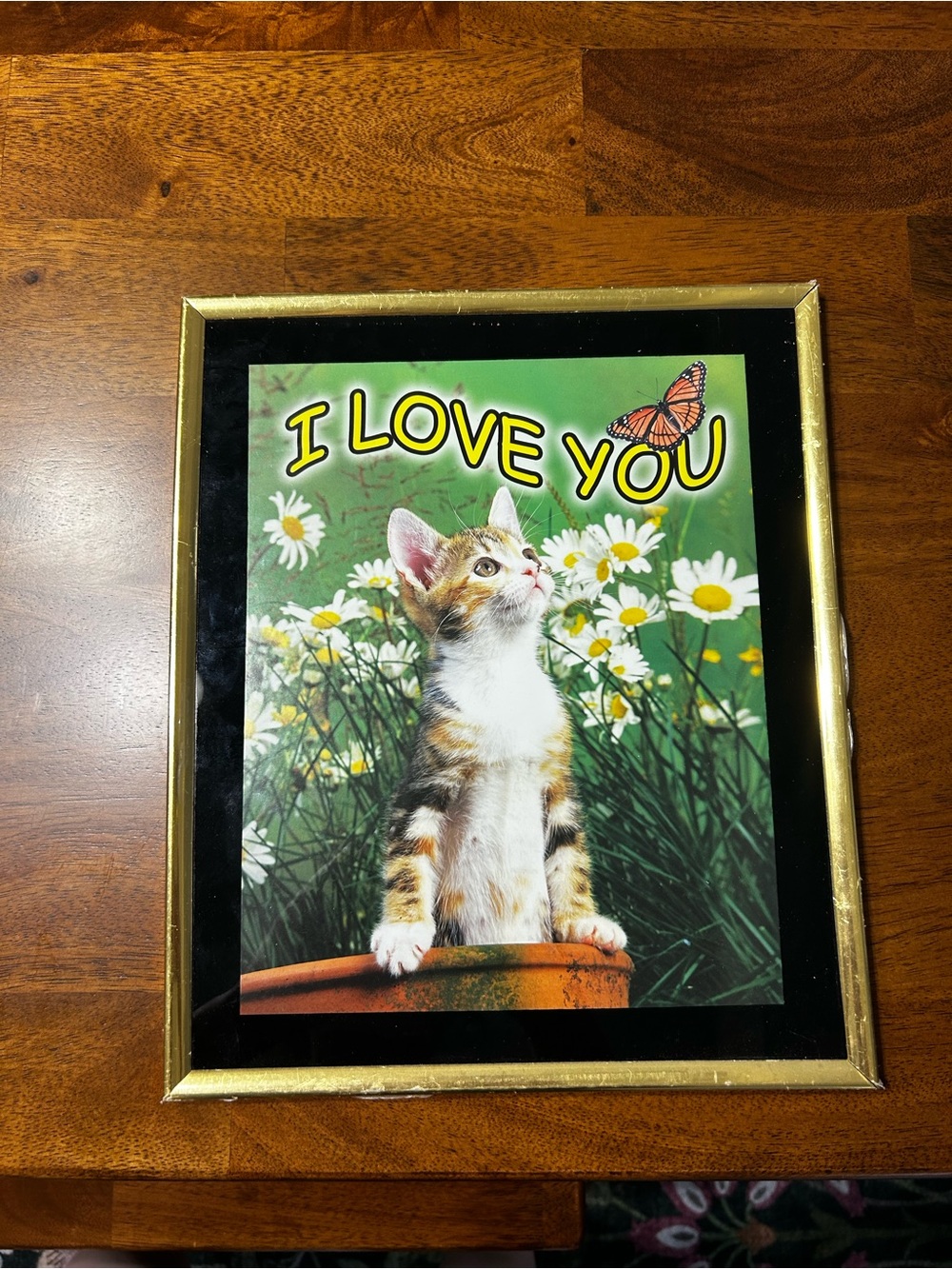 I Love You Kitten Wall Art Print - Gold Frame
